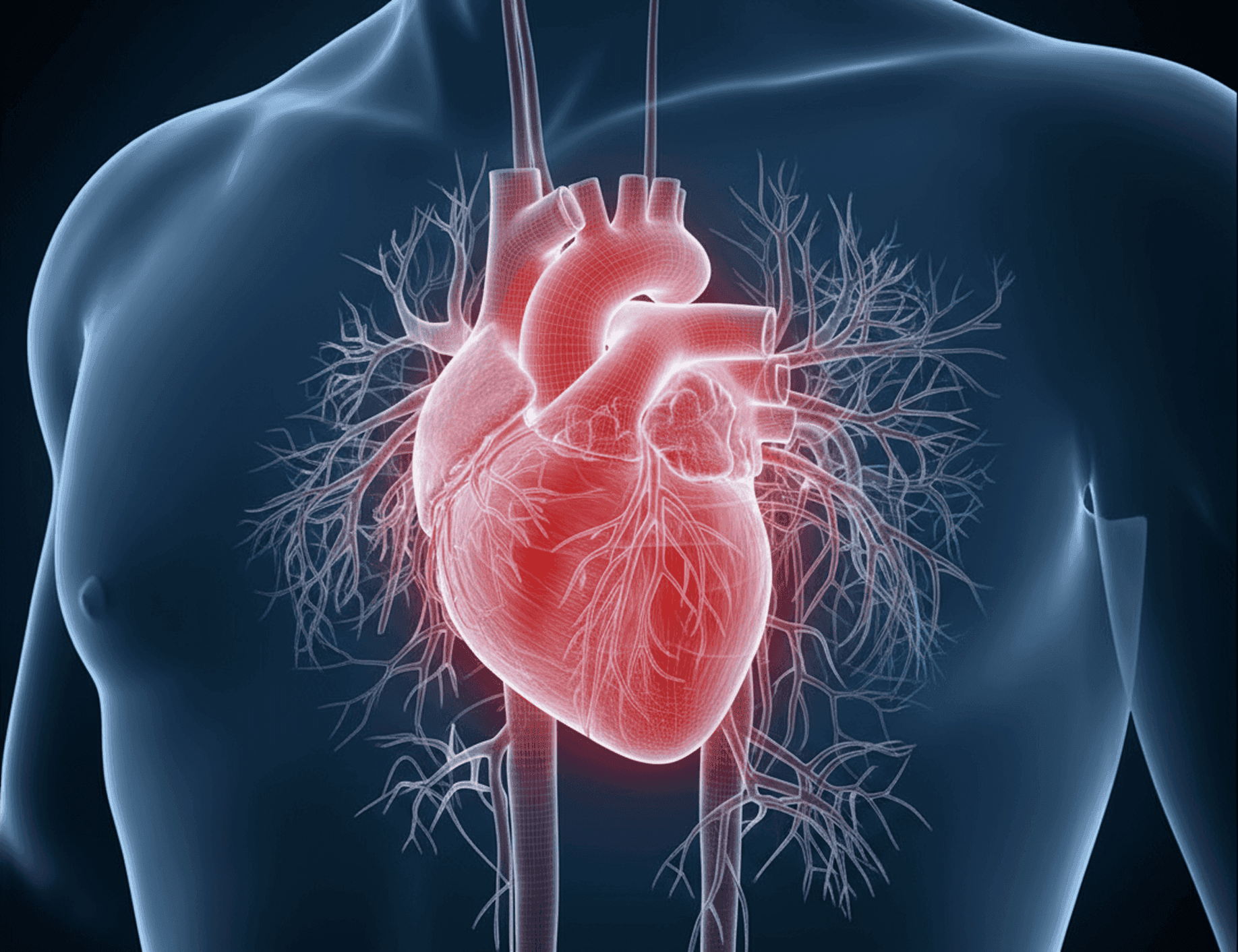 Heart Health